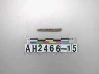 藏品(石針殘件)的圖片